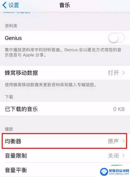 如何增强苹果手机的音量 iPad音量怎么调大