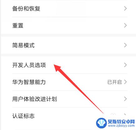 华为手机关闭应用效果设置 华为手机如何关闭窗口动画设置