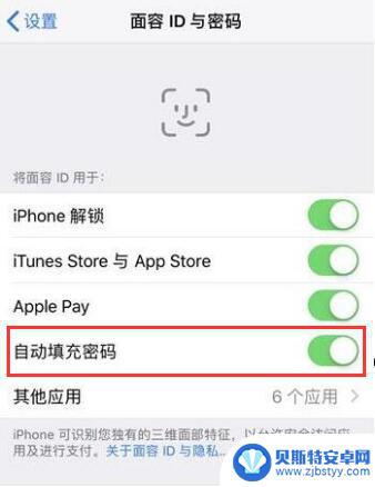 苹果手机的密码功能怎么用 iPhone 如何记住密码