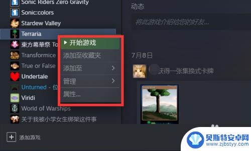 泰拉瑞亚启动失败 steam泰拉瑞亚启动黑屏怎么办