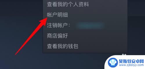 怎么看自己steam游戏库价值 如何查看自己Steam游戏库的价值