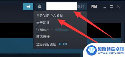 steam禁止好友看自己玩的游戏 steam怎么让好友无法看到你在玩游戏