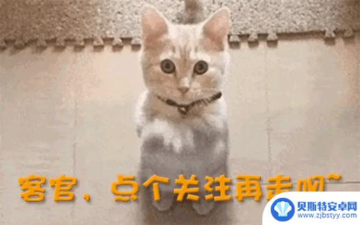 ColorOS 16内测启动！11款旗舰机型迎来尝鲜，安卓流畅革新即将到来