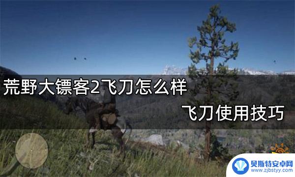 荒野大镖客2 约翰 飞刀 荒野大镖客2飞刀如何使用