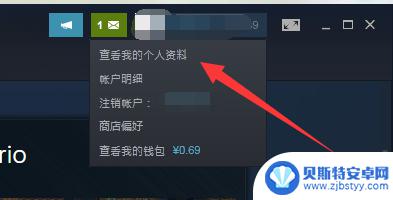 steam怎么设置为公开 Steam隐私设置公开步骤