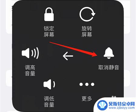 玩游戏没有声音怎么办苹果手机 苹果王者游戏声音设置不见了怎么恢复