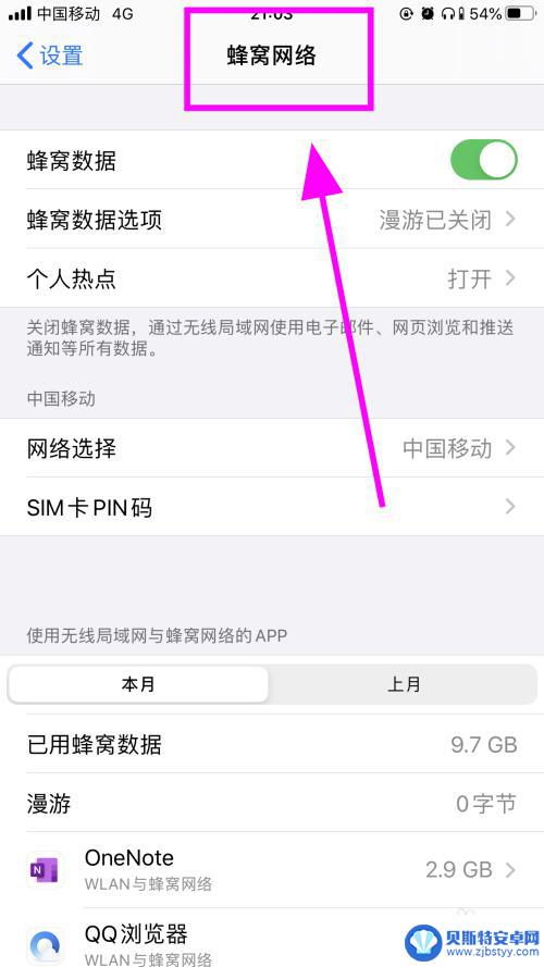 iphone禁止app联网 苹果iPhone手机如何禁止某个应用程序使用数据