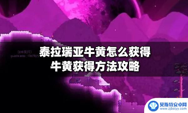 泰拉瑞亚牛黄可以合成什么饰品 牛黄在泰拉瑞亚中怎么获得