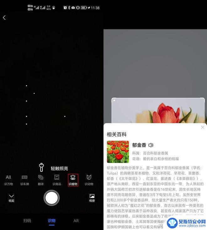 手机图片怎么识别植物 学会手机拍照识别植物的实用技巧