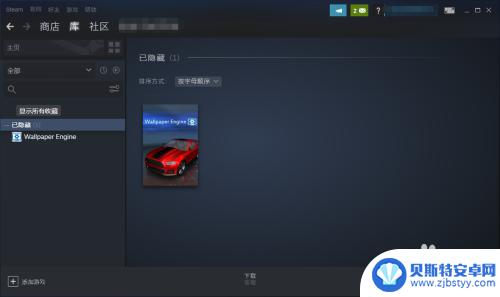 steam怎么看到隐藏游戏 如何在Steam上找到隐藏游戏