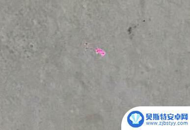 苹果手机前摄像头有红色亮点 iPhone拍照出现小红点是什么原因