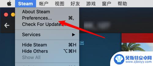 steam游戏库怎么进游戏 Steam如何设置启动后自动显示游戏库页面