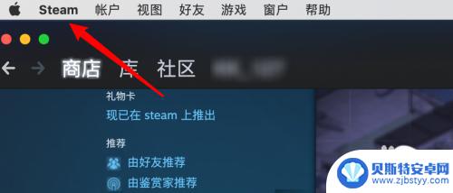 steam游戏库怎么进游戏 Steam如何设置启动后自动显示游戏库页面