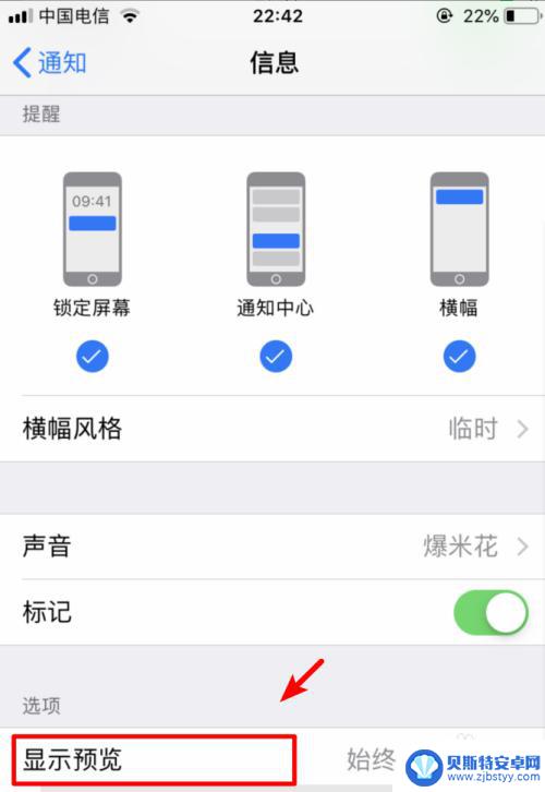 苹果手机短信内容不显示内容 iPhone手机收到短信不显示预览