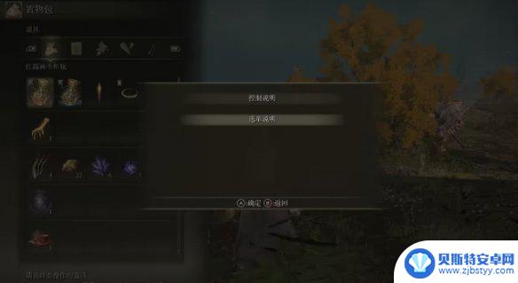 艾尔登法环如何暂停 《艾尔登法环》暂停画面怎么设置
