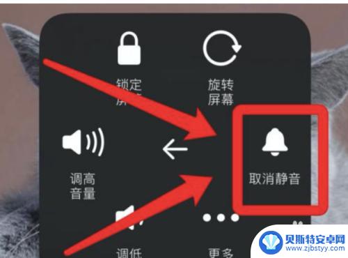 为什么原神没有声音ios 苹果手机玩原神外放没声音的解决方法