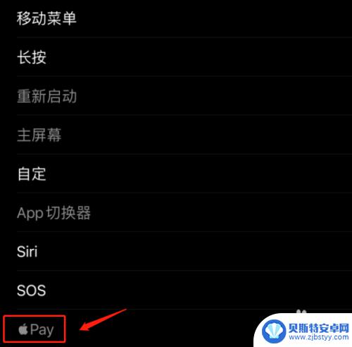 苹果手机通过辅助功能来支付 苹果如何设置辅助触控支付