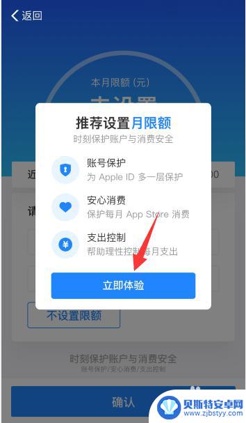 苹果手机限制金额怎么设置 如何在苹果手机上设置支付的限额