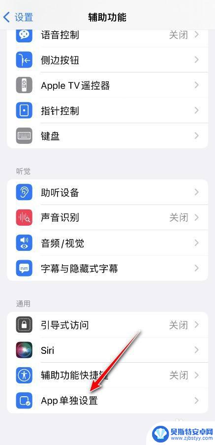 苹果手机如何设置图标文字 iPhone怎么单独设置应用程序字体大小