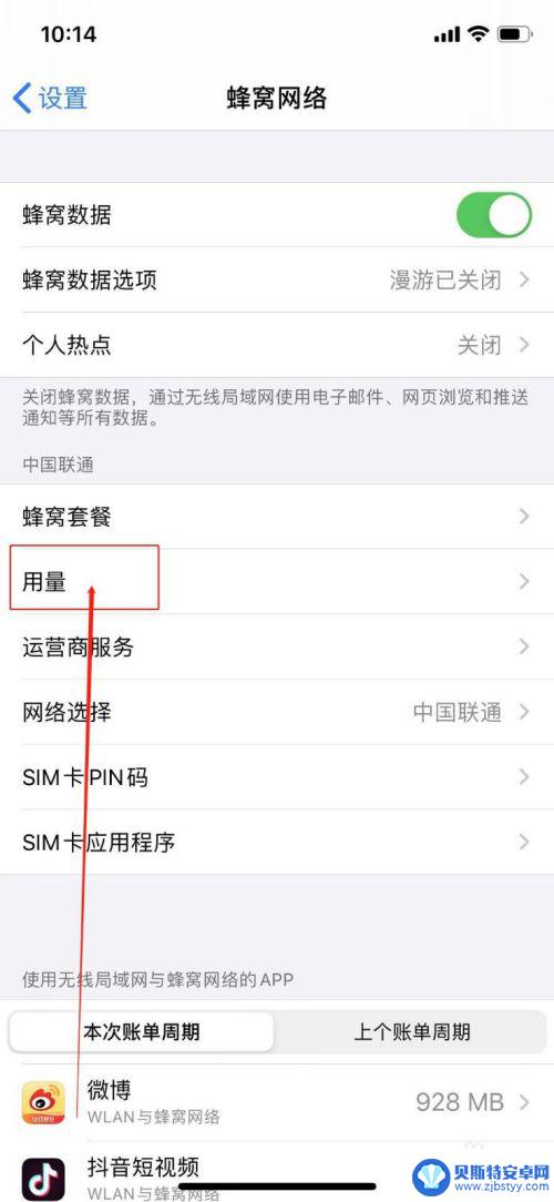 苹果手机在哪查流量使用情况 怎么看苹果手机流量消耗情况