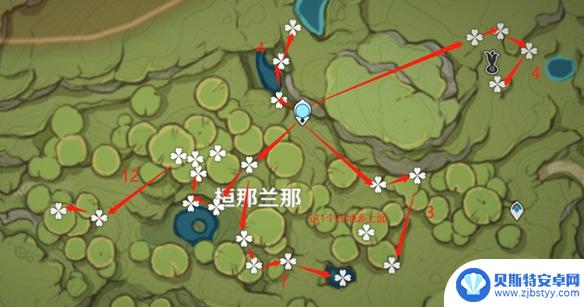 原神帕蒂莎兰采摘路线 《原神》帕蒂莎兰采集路线图