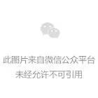 必看游戏攻略：针对打金玩家的全网最全攻略