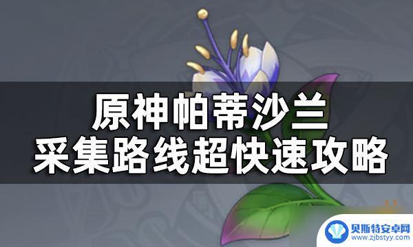 原神帕莎蒂兰位置 原神帕蒂沙兰采集路线攻略分享