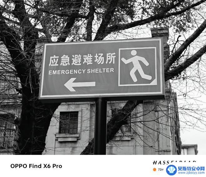 vivo oppo 小米 拍照 小米、OPPO、vivo三大拍照旗舰谁的相机更出色