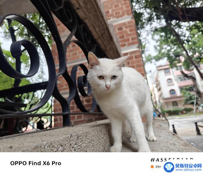 vivo oppo 小米 拍照 小米、OPPO、vivo三大拍照旗舰谁的相机更出色