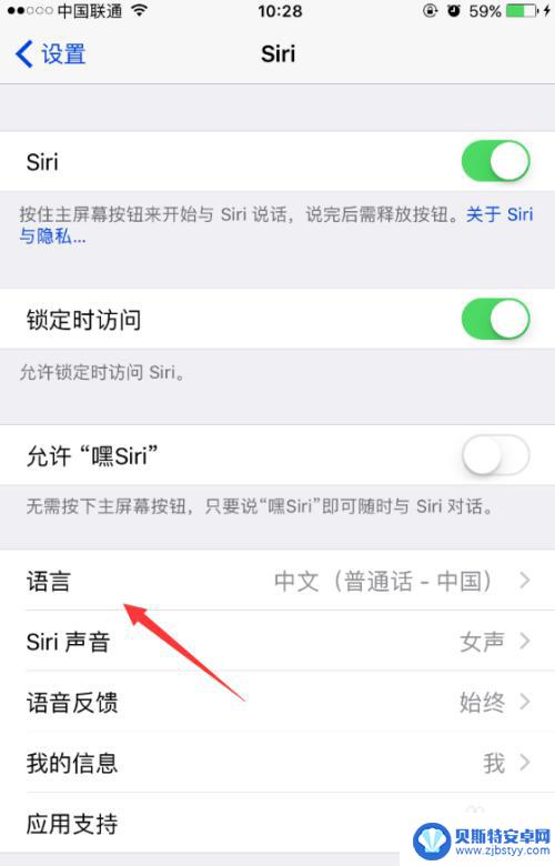 苹果手机说话没有字如何操作 如何在iPhone上开启并使用语音输入功能