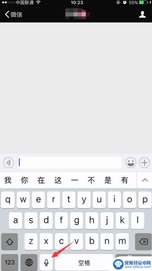 苹果手机说话没有字如何操作 如何在iPhone上开启并使用语音输入功能