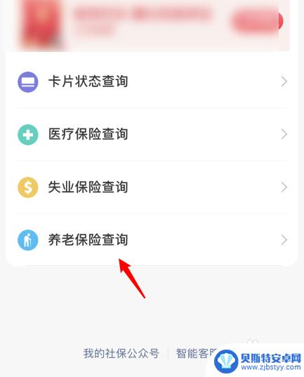 手机怎么查询个人社保缴费记录明细 如何在手机上查看社保缴费记录