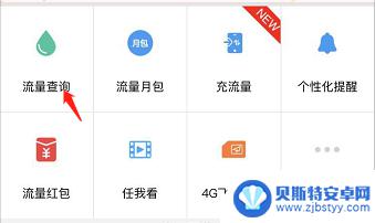怎么查看手机每天使用的流量 如何查看移动用户每日流量消耗情况