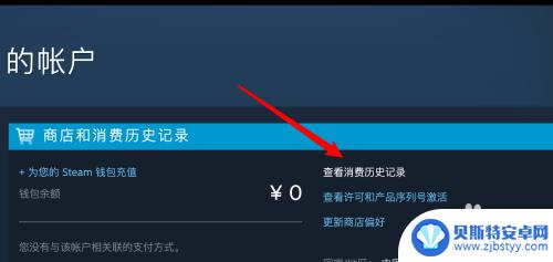 查看steam消费总数 Steam消费记录在哪里查找