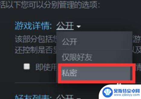 steam怎么隐藏最近游戏 Steam如何隐藏个人游戏动态设置