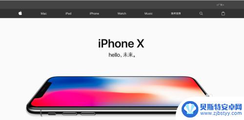 我的苹果手机id密码忘记了怎么办 Apple ID密码忘记了怎么办理