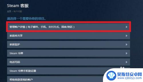 手机怎么查steam充值记录 怎么在STEAM上查看自己的消费记录