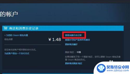 手机怎么查steam充值记录 怎么在STEAM上查看自己的消费记录