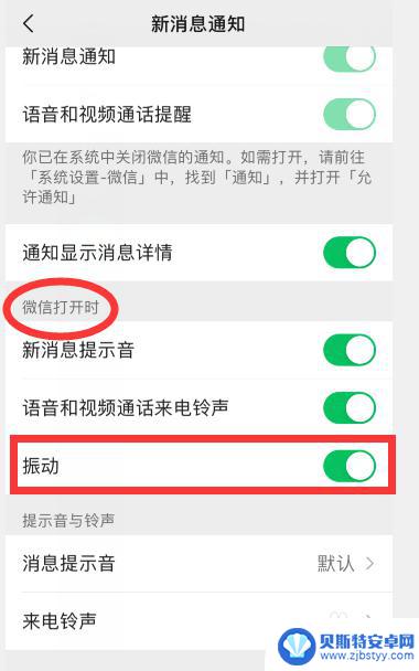 苹果手机震动打开了但微信不震动 苹果手机微信震动功能失效