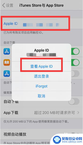 苹果手机支付绑定怎么取消 苹果手机App store移除已绑定的支付方式