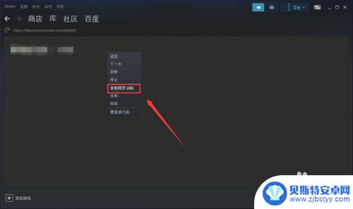 steam如何查看个人主页链接 查看自己的SteamID的步骤