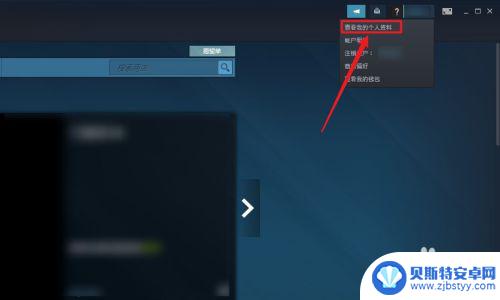 steam隐私账号设置在哪里 游戏平台Steam如何设置隐私权限