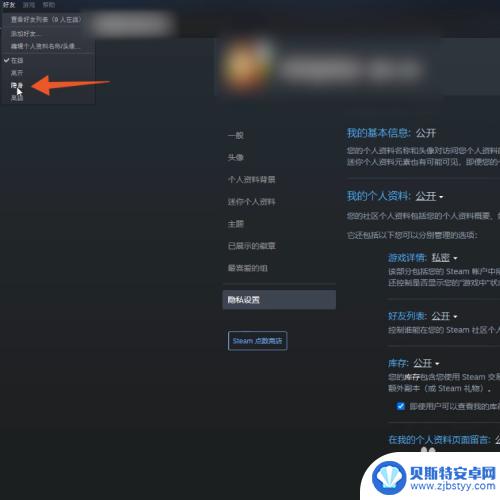 steam设置游戏好友不可见 怎样让steam好友看不到我在玩什么游戏