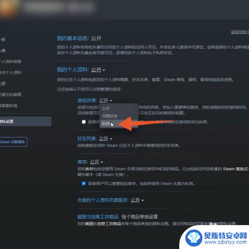 steam设置游戏好友不可见 怎样让steam好友看不到我在玩什么游戏