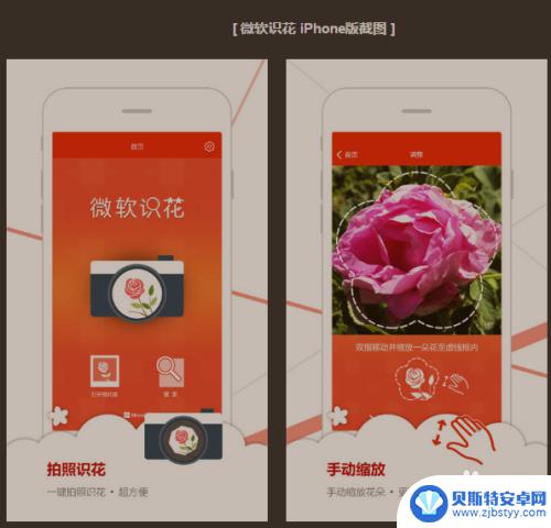 手机如何拍照分辨花草 手机上有没有可以识别植物的APP