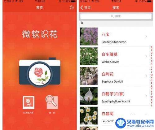 手机如何拍照分辨花草 手机上有没有可以识别植物的APP