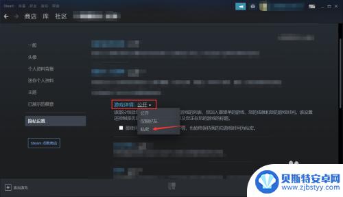 steam怎么对好友隐藏自己拥有的游戏 Steam怎么让好友看不到我拥有的游戏