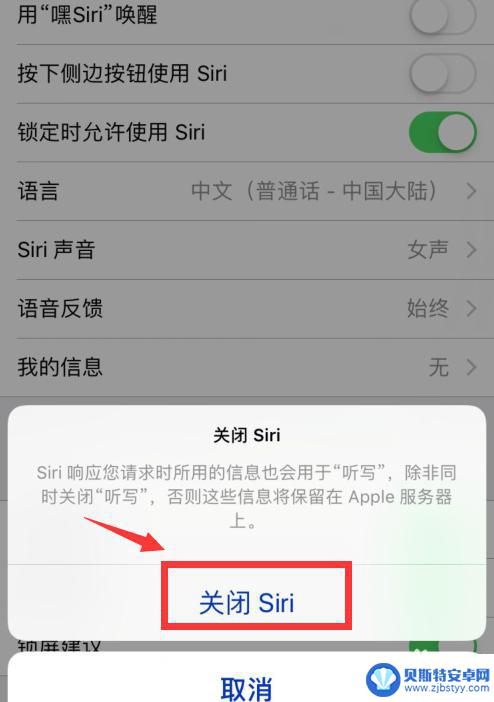 语音控制苹果手机如何关闭 iPhone语音控制如何关闭