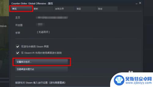 如何用steam玩反恐精英 Steam 如何启动并打开 CSGO 国服