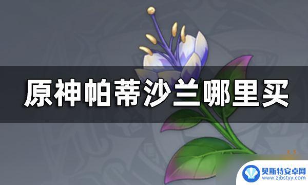 原神帕迪莎兰在哪买 《原神》帕蒂沙兰购买位置在哪里